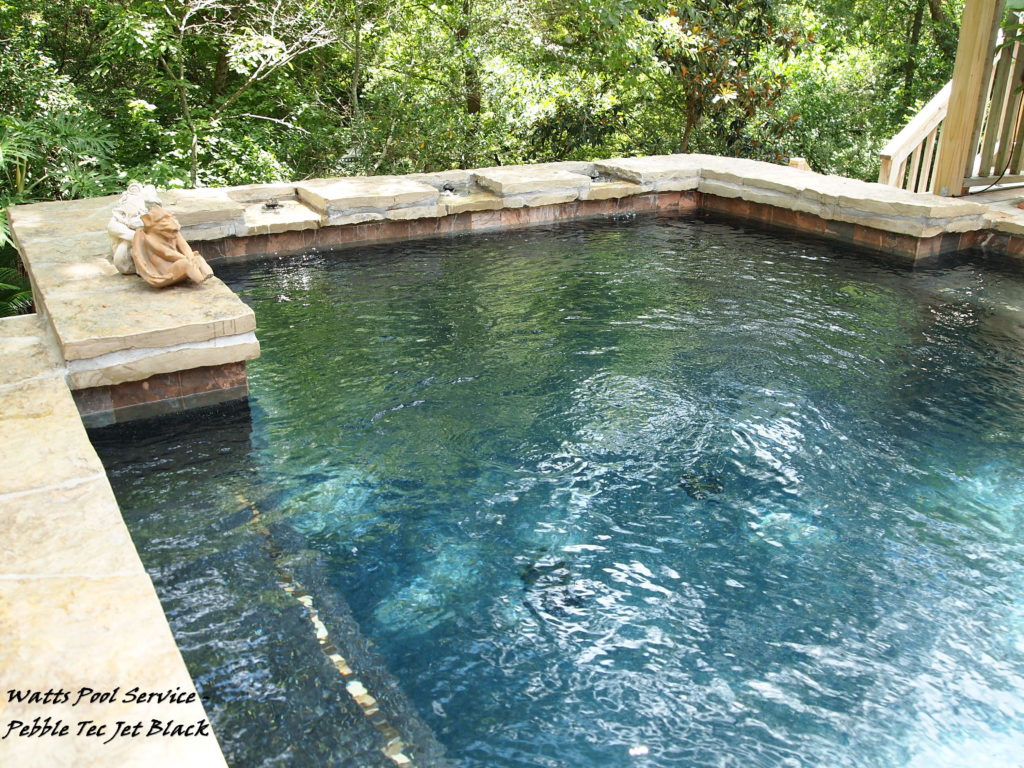 Pool Cleaning